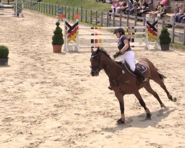 Reitturnier Kalenborn Hegehof 2015