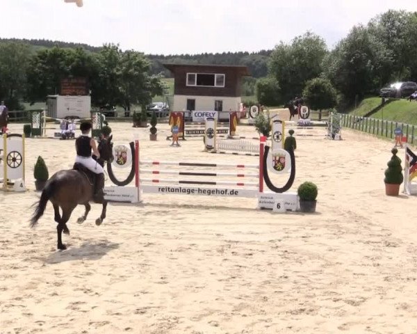 Reitturnier Kalenborn Hegehof 2015