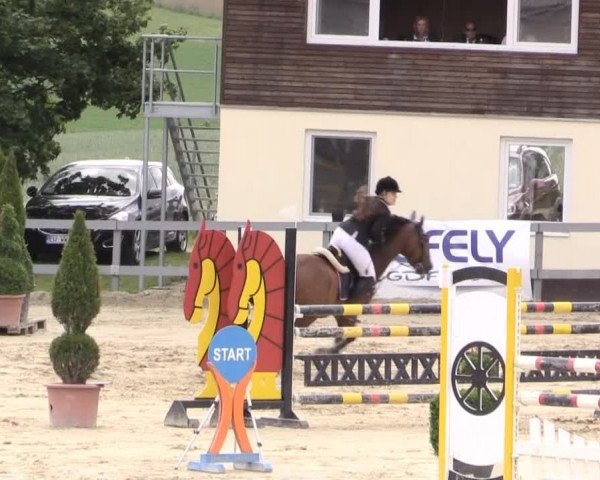 Reitturnier Kalenborn Hegehof 2015