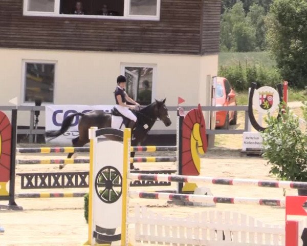 Reitturnier Kalenborn Hegehof 2015