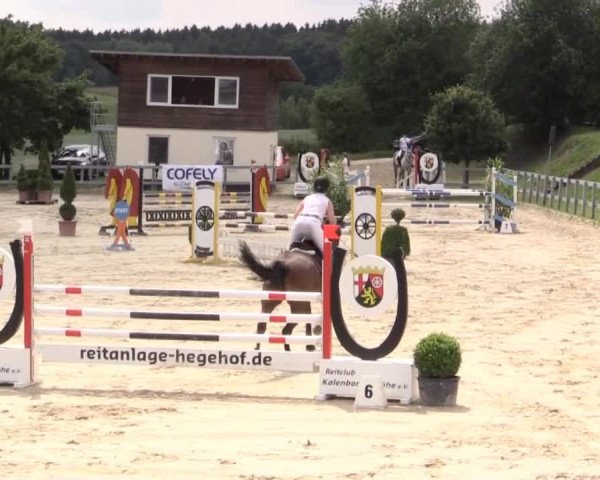 Reitturnier Kalenborn Hegehof 2015