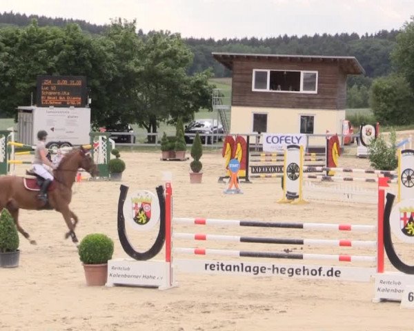 Reitturnier Kalenborn Hegehof 2015
