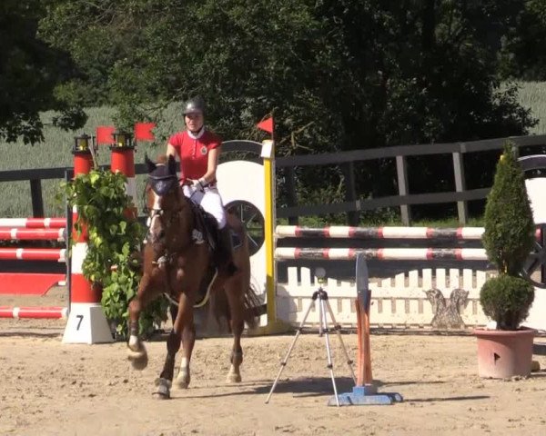 Reitturnier Kalenborn Hegehof 2015