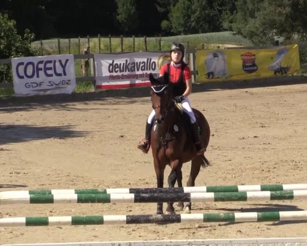 Reitturnier Kalenborn Hegehof 2015