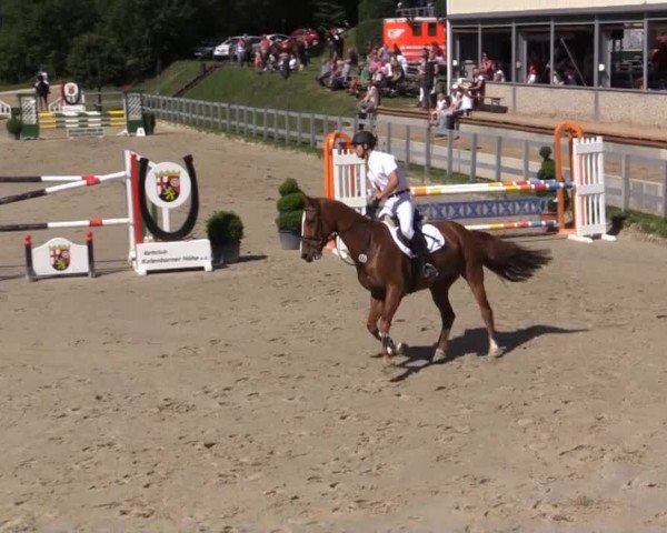 Reitturnier Kalenborn Hegehof 2015