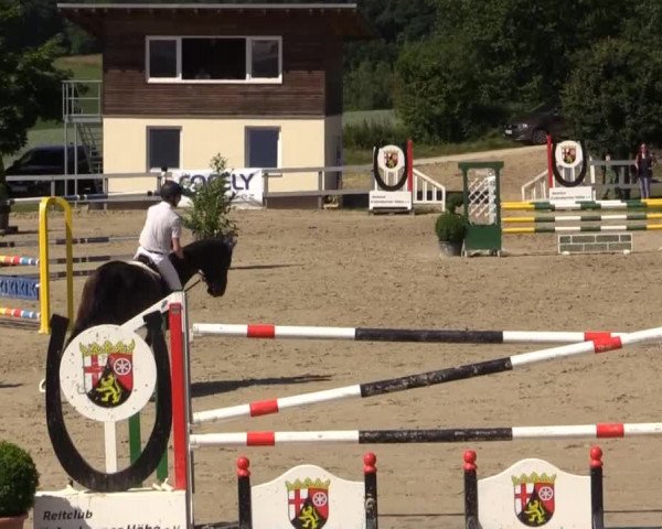 Reitturnier Kalenborn Hegehof 2015