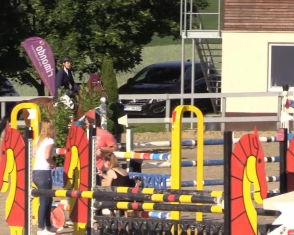 Reitturnier Kalenborn Hegehof 2015