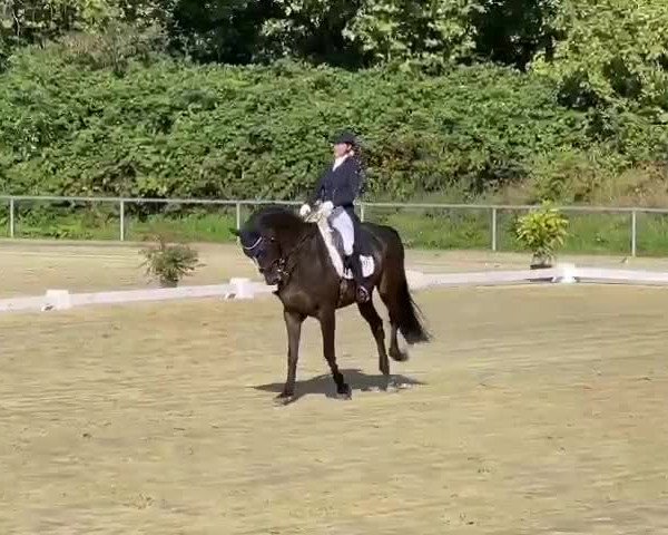 Reitturnier Ladenburg 2021