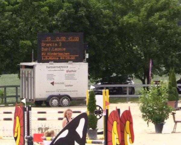 Reitturnier Kalenborn Hegehof 2015
