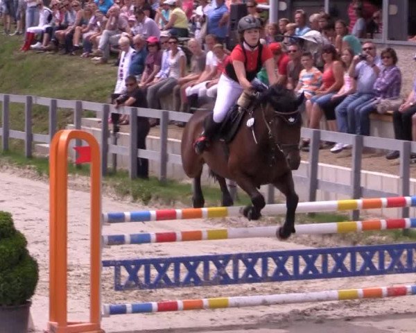 Reitturnier Kalenborn Hegehof 2015