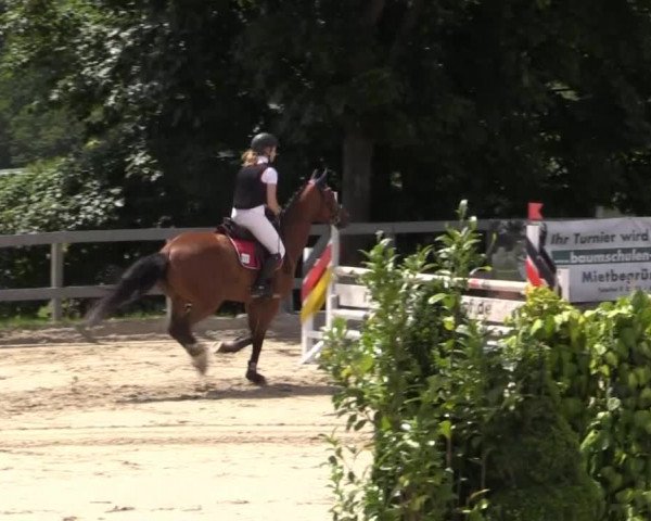 Reitturnier Kalenborn Hegehof 2015