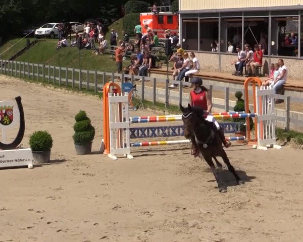 Reitturnier Kalenborn Hegehof 2015