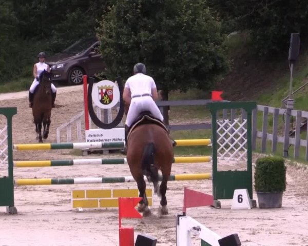 Reitturnier Kalenborn Hegehof 2015