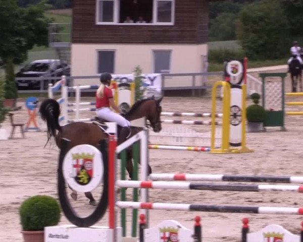 Reitturnier Kalenborn Hegehof 2015