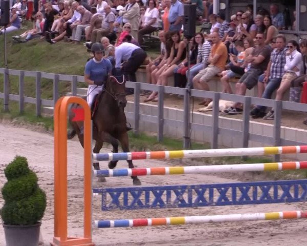 Reitturnier Kalenborn Hegehof 2015