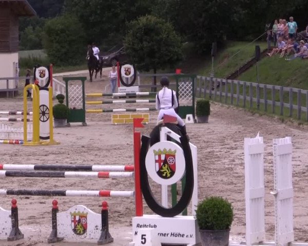 Reitturnier Kalenborn Hegehof 2015
