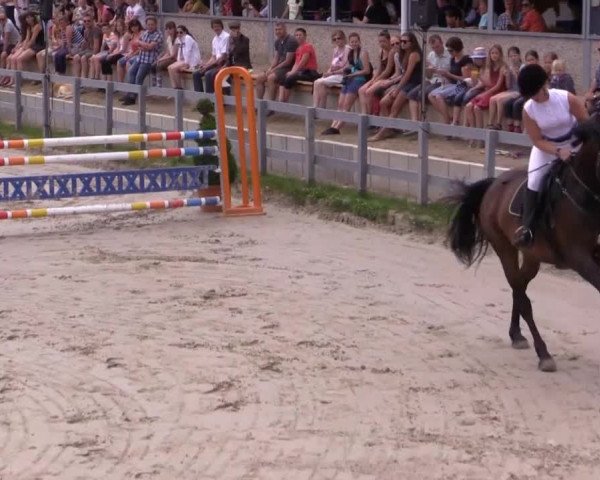 Reitturnier Kalenborn Hegehof 2015