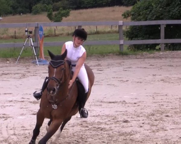 Reitturnier Kalenborn Hegehof 2015