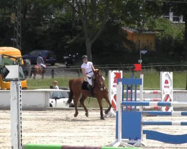 Reit-und Springturnier Dortmund West 2015
