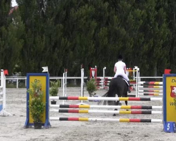 Reit-und Springturnier Dortmund West 2015