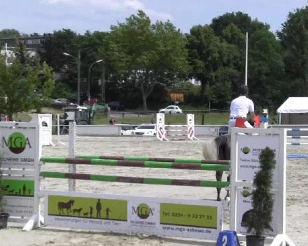 Reit-und Springturnier Dortmund West 2015