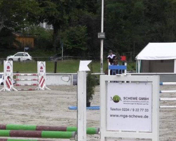 Reit-und Springturnier Dortmund West 2015