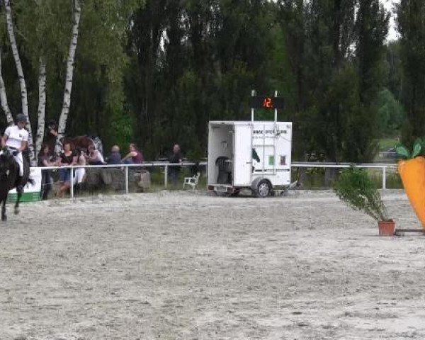 Reit-und Springturnier Dortmund West 2015