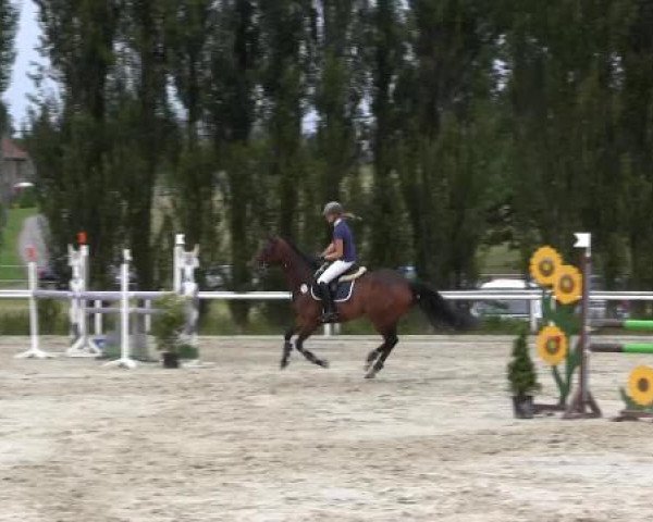 Reit-und Springturnier Dortmund West 2015