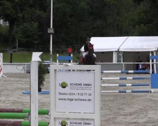 Reit-und Springturnier Dortmund West 2015