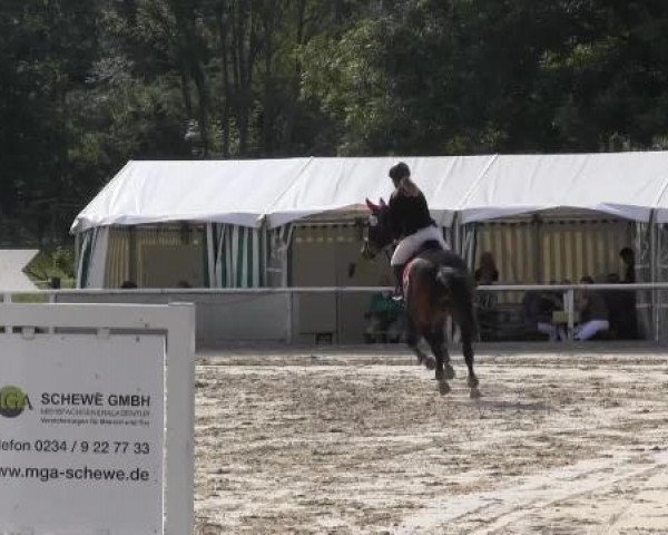 Reit-und Springturnier Dortmund West 2015