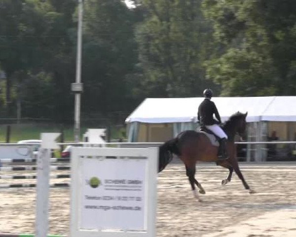 Reit-und Springturnier Dortmund West 2015