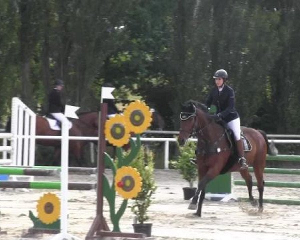 Reit-und Springturnier Dortmund West 2015
