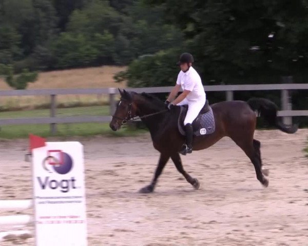 Reitturnier Kalenborn Hegehof 2015