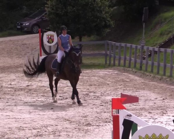 Reitturnier Kalenborn Hegehof 2015