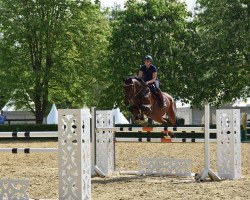 jumper Candis K (Westphalian, 2007, from Collin L)