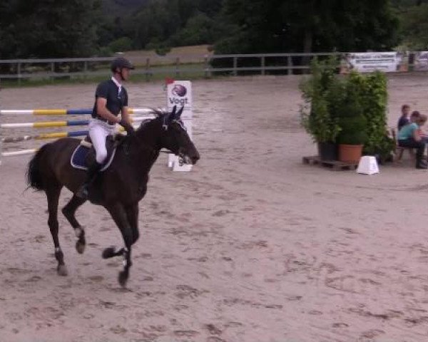 Reitturnier Kalenborn Hegehof 2015