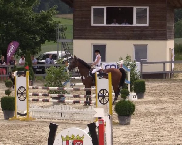 Reitturnier Kalenborn Hegehof 2015