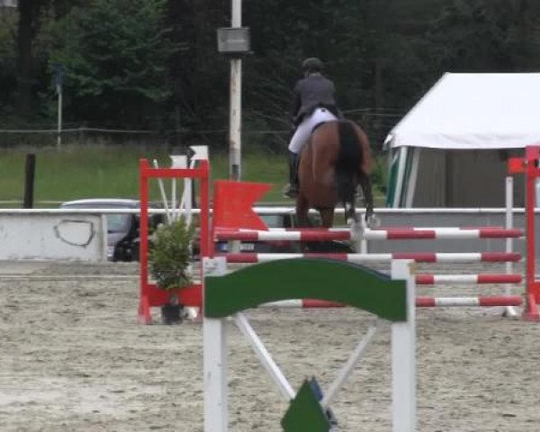 Reit-und Springturnier Dortmund West 2015