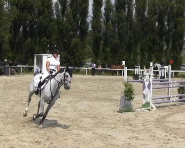 Reit-und Springturnier Dortmund West 2015
