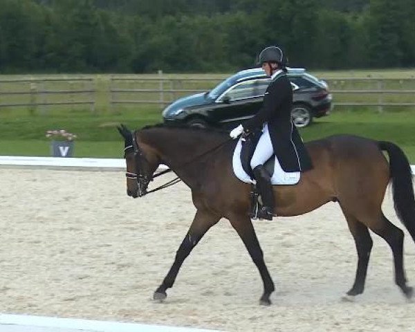 Dressurturnier Brunnthal-Riedhausen 2015