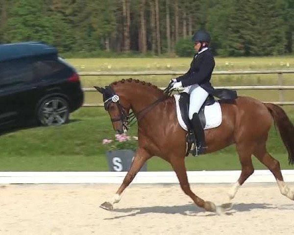 Dressurturnier Brunnthal-Riedhausen 2015
