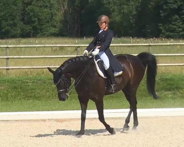 Dressurturnier Brunnthal-Riedhausen 2015