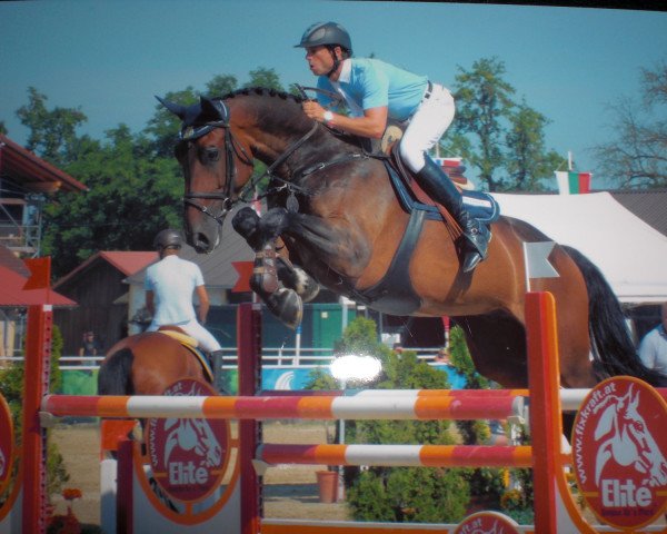 jumper Bum Lenin 6 (Bavarian, 2004, from La Pilot)