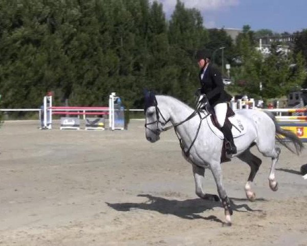 Reit-und Springturnier Dortmund West 2015