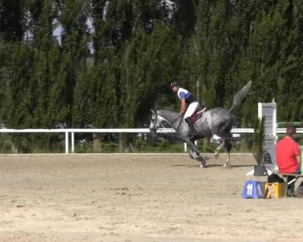 Reit-und Springturnier Dortmund West 2015