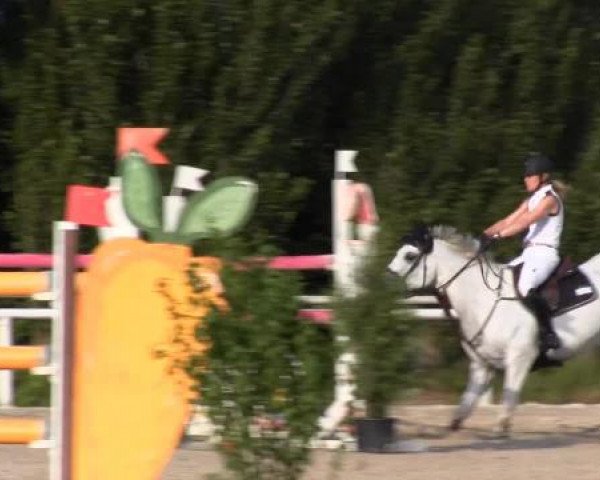 Reit-und Springturnier Dortmund West 2015