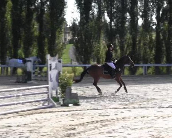 Reit-und Springturnier Dortmund West 2015