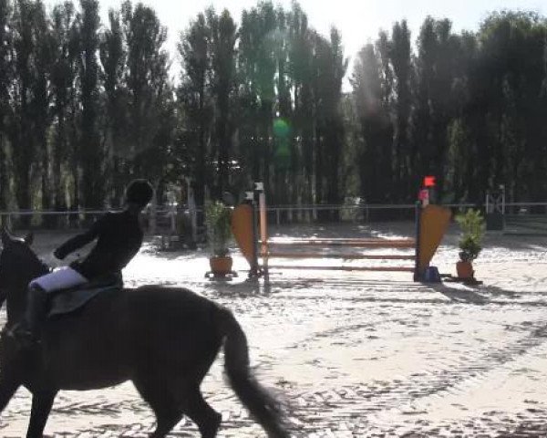 Reit-und Springturnier Dortmund West 2015
