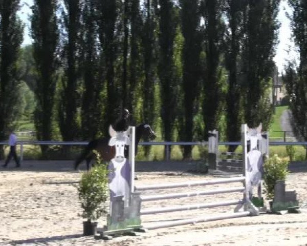 Reit-und Springturnier Dortmund West 2015
