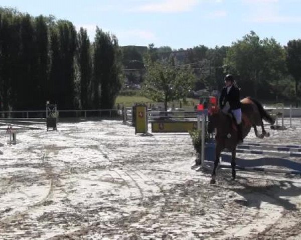 Reit-und Springturnier Dortmund West 2015